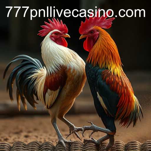 Understanding the World of Cockfighting: A Deep Dive into the Controversial Practice