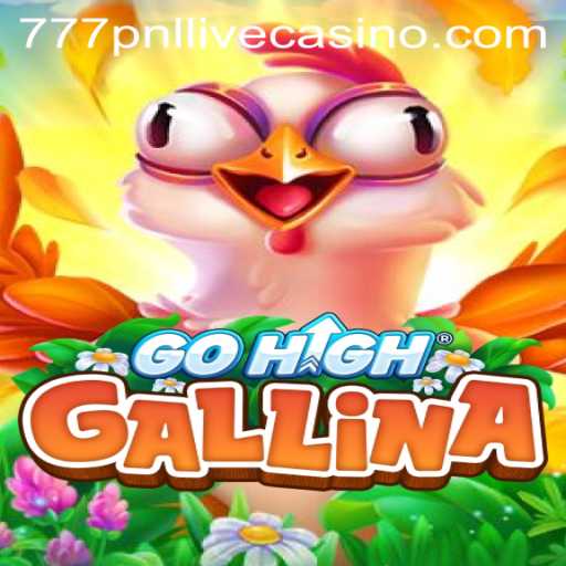 GoHighGallina: An Innovative Adventure Awaits